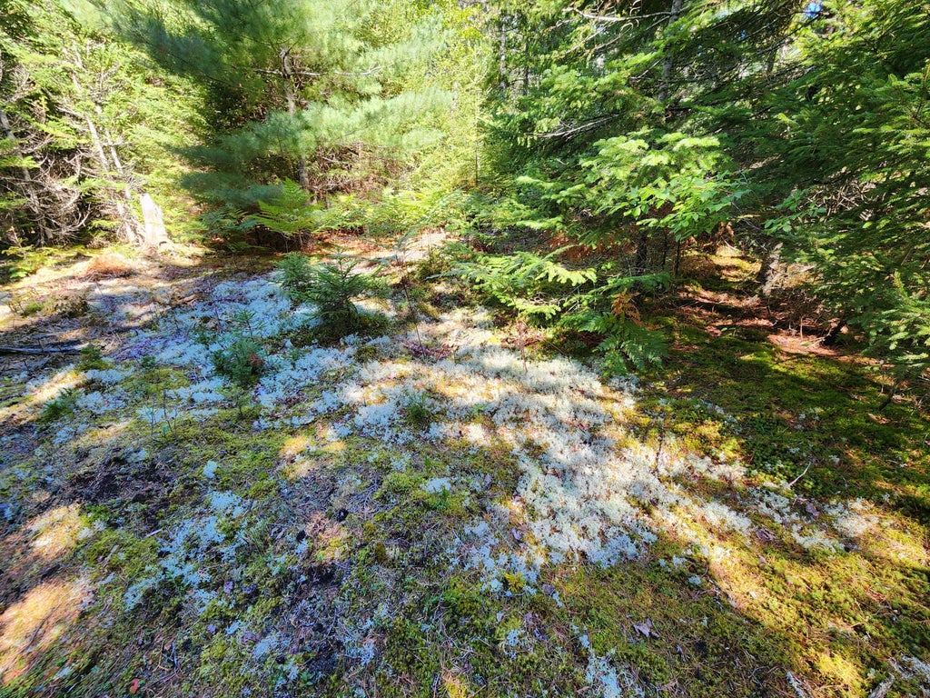 Photo of Mp35Lot7-1 Mattson Lane, Blue Hill, ME 04614 (MLS # 1679315)