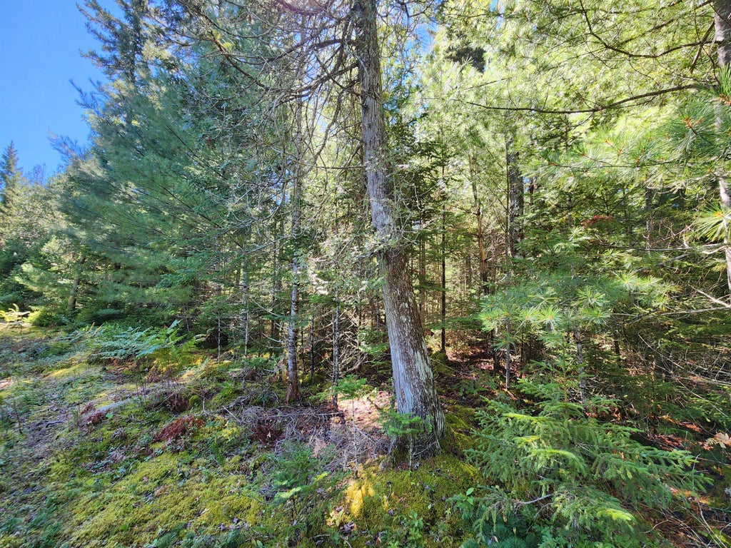 Photo of Mp35Lot7-1 Mattson Lane, Blue Hill, ME 04614 (MLS # 1679315)