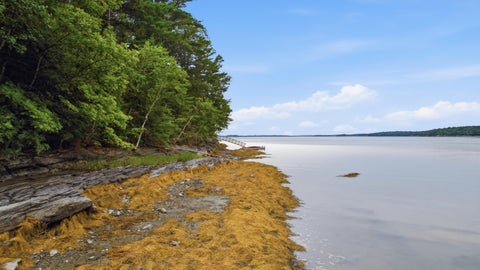 Photo of 91 Shore Drive, Freeport, ME 04032 (MLS # 1673225)