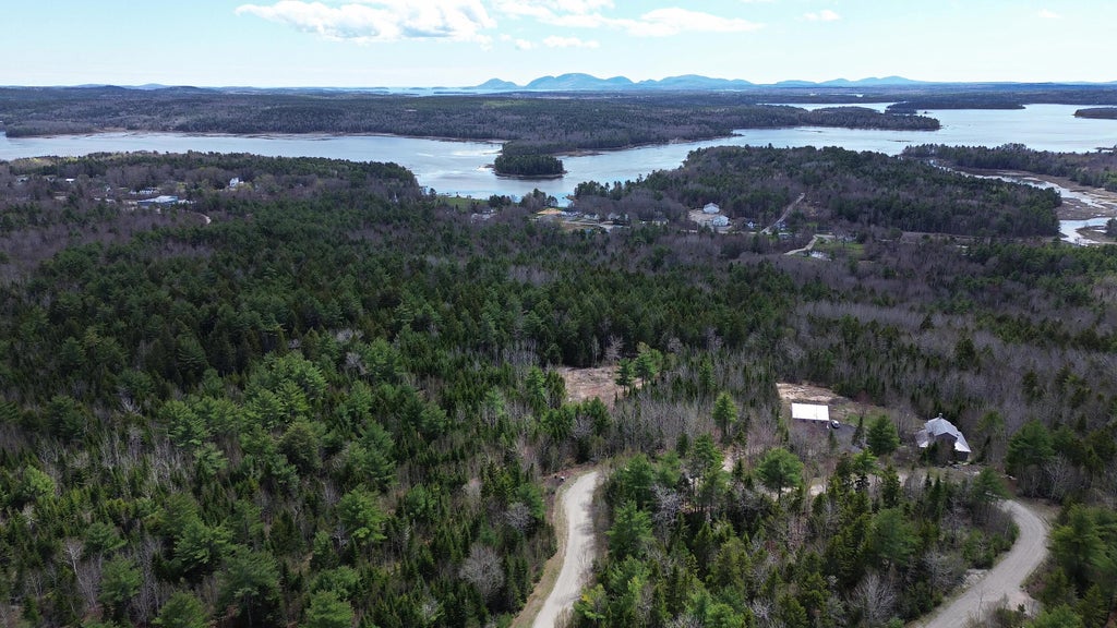 Photo of Lot 4 Bailey Mountain Road, Franklin, ME 04634 (MLS # 1661533)