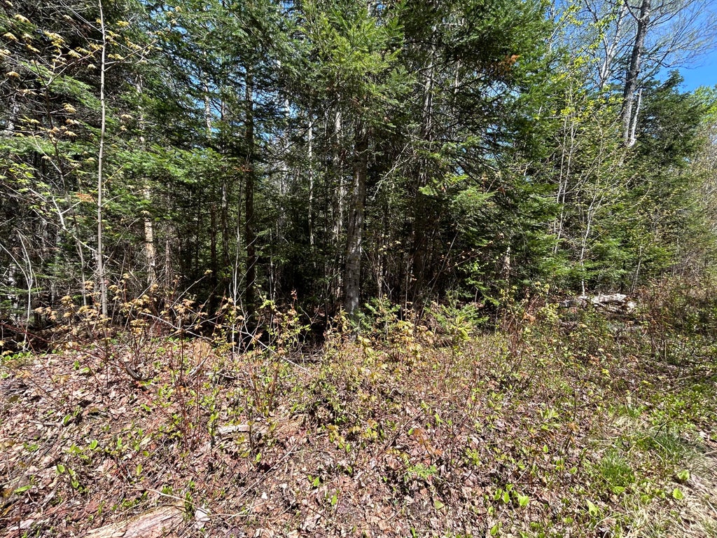 Photo of M17/L52-1 Stinchfield Road, Sandy River Plt, ME 04970 (MLS # 1663491)