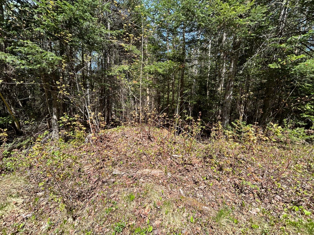 Photo of M17/L52-1 Stinchfield Road, Sandy River Plt, ME 04970 (MLS # 1663491)
