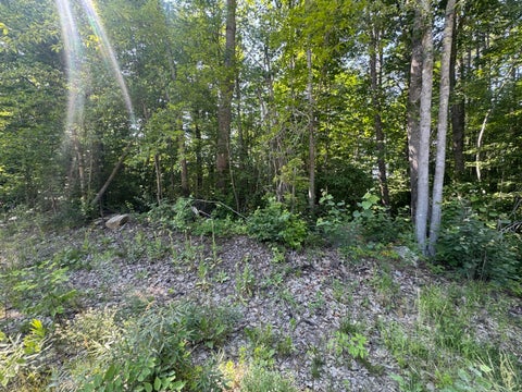 Photo of Lot 6 Fisher Drive, Limerick, ME 04048 (MLS # 1678000)