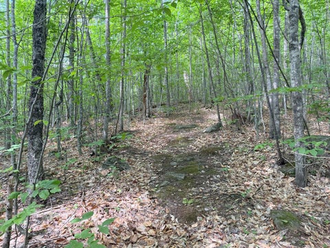 Photo of TBD Map FR 028 Plan 01 Lot 19 RD, Washington Twp, ME 04294 (MLS # 1671097)