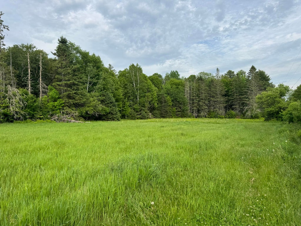 Photo of Lot 51 Peters Cove Road, Orient, ME 04471 (MLS # 1667814)