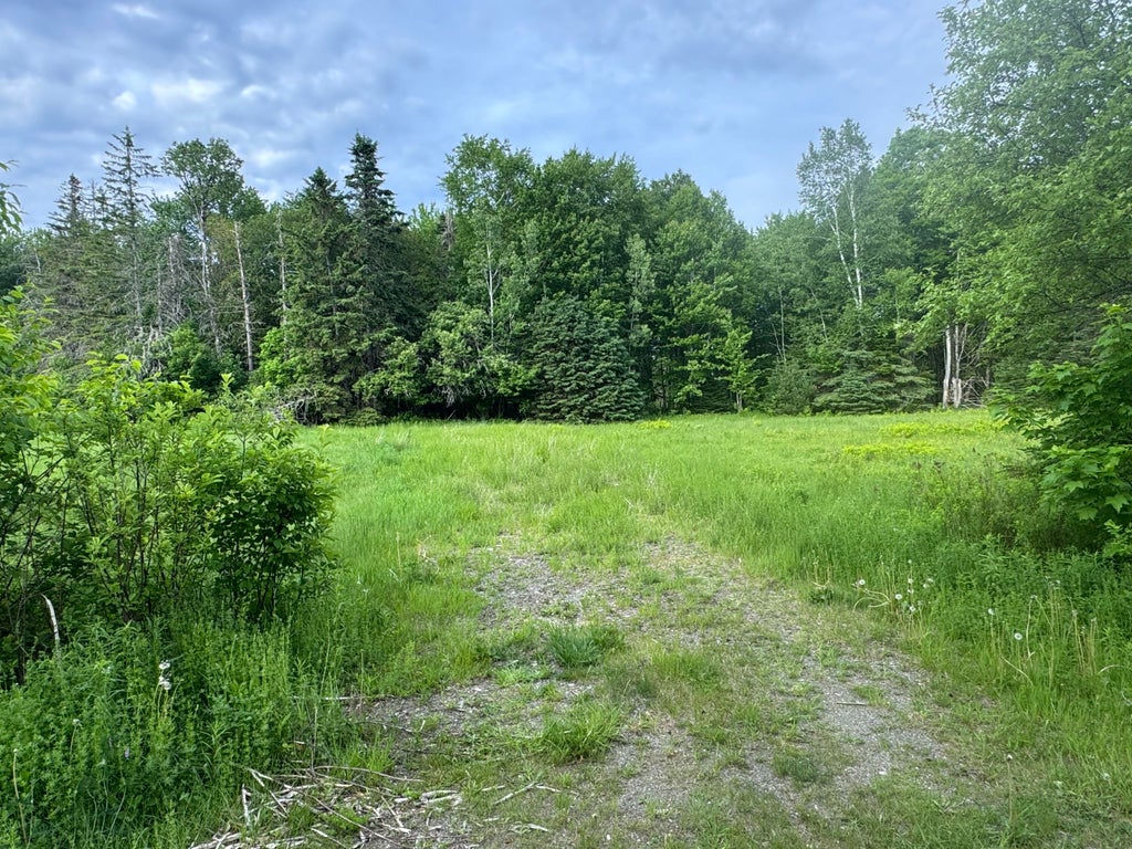 Photo of Lot 51 Peters Cove Road, Orient, ME 04471 (MLS # 1667814)