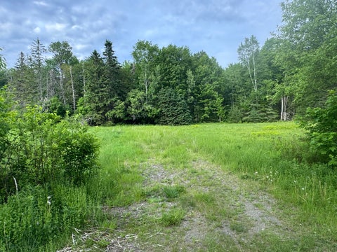Photo of Lot 51 Peters Cove Road, Orient, ME 04471 (MLS # 1667814)