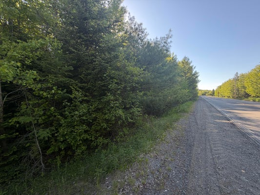 LITE LN, MEDDYBEMPS, ME 04657 - Image 6c12d28703b79098f5d9b4e7db0e89e3/1250451664