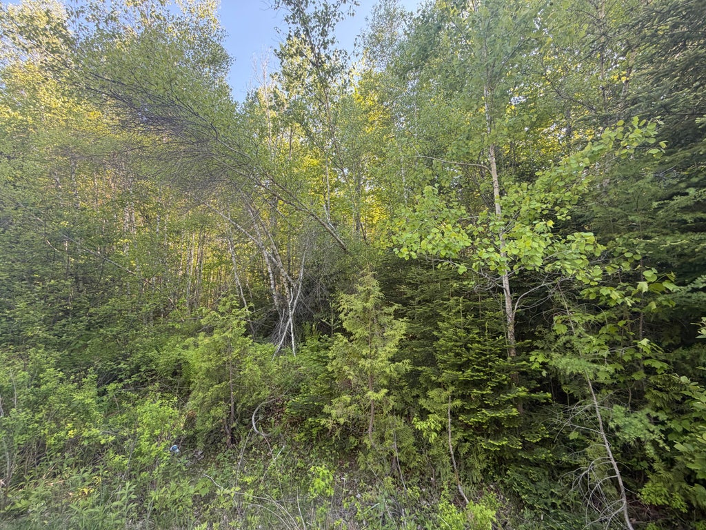Photo of Lot A,C,&amp;D Vanceboro Road, Vanceboro, ME 04619 (MLS # 1666004)