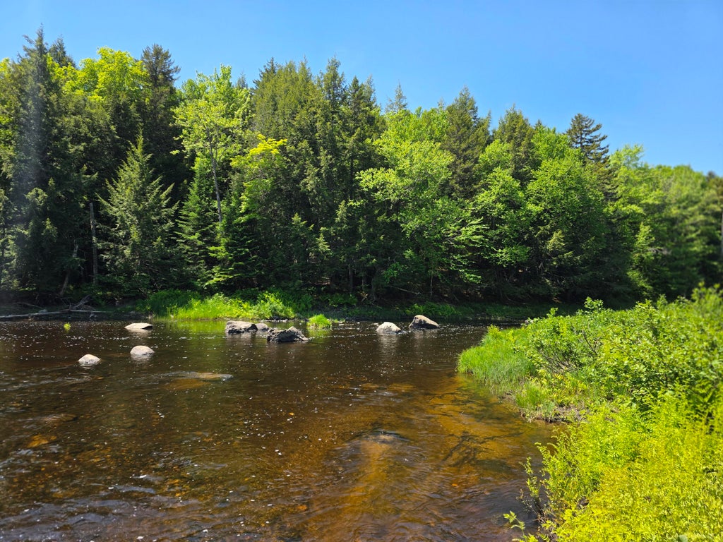 Photo of Lot S US RT 2, Macwahoc Plt, ME 04451 (MLS # 1674737)