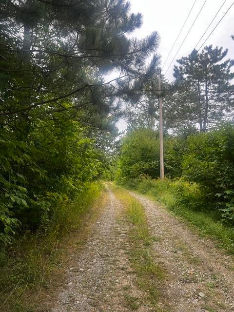 Photo of Map2Lt6 Hilltop Lane, Princeton, ME 04668 (MLS # 1669687)