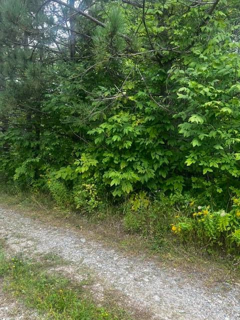 Photo of Map2Lt6 Hilltop Lane, Princeton, ME 04668 (MLS # 1669687)