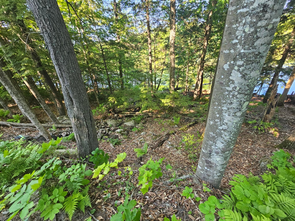 Photo of PO-L5,6,9G Great Moose Drive, Hartland, ME 04493 (MLS # 1675019)
