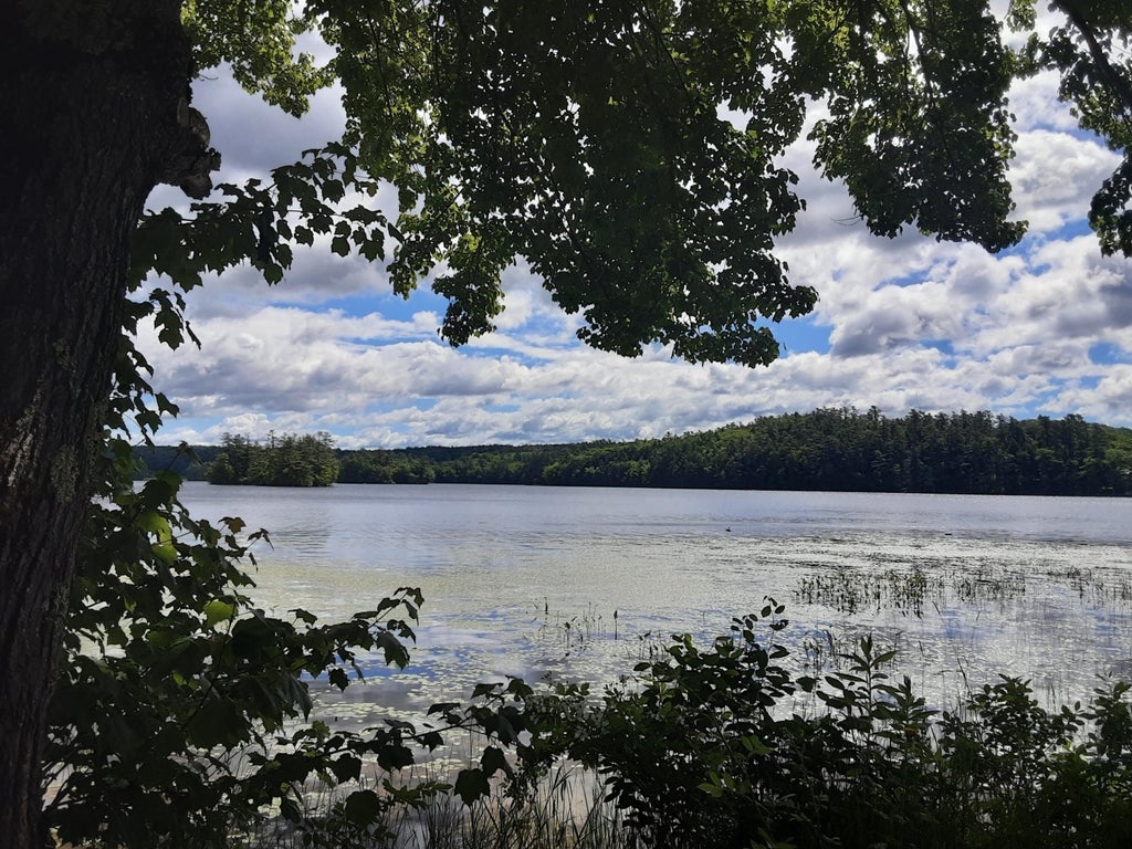 Photo of 47 Stafford Circle, Newcastle, ME 04553 (MLS # 1669336)