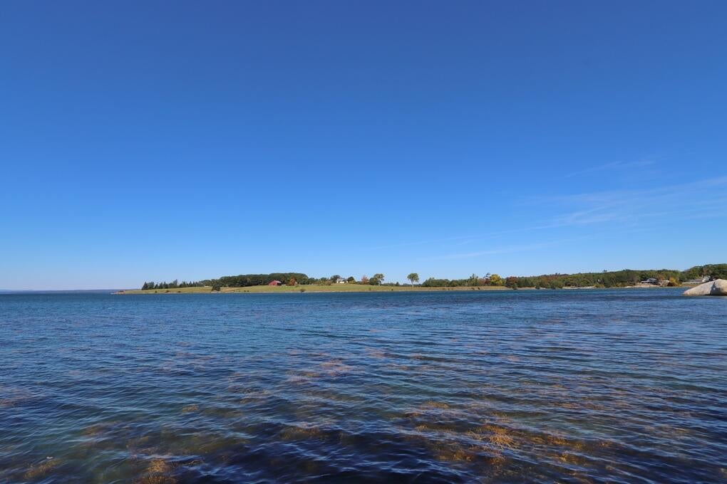 Photo of 42 Back Shore Road, Castine, ME 04421 (MLS # 1683929)