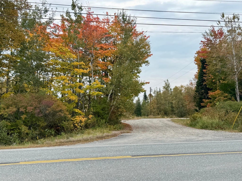 Photo of Lot 28 Huntley Lane, Machias, ME 04654 (MLS # 1683142)