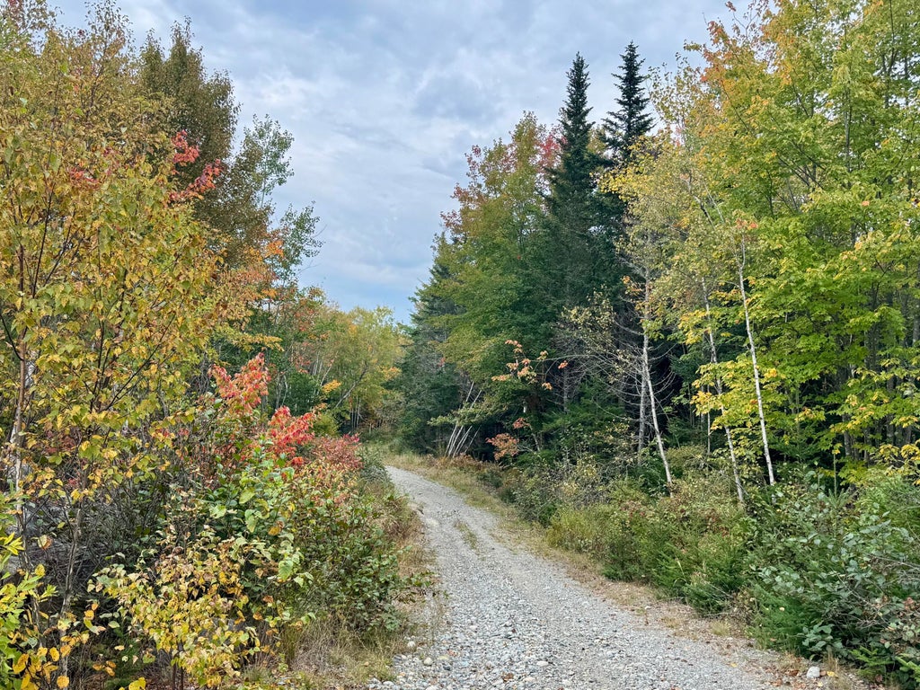 Photo of Lot 28 Huntley Lane, Machias, ME 04654 (MLS # 1683142)