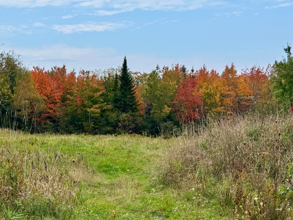 Photo of Lot 28 Huntley Lane, Machias, ME 04654 (MLS # 1683142)