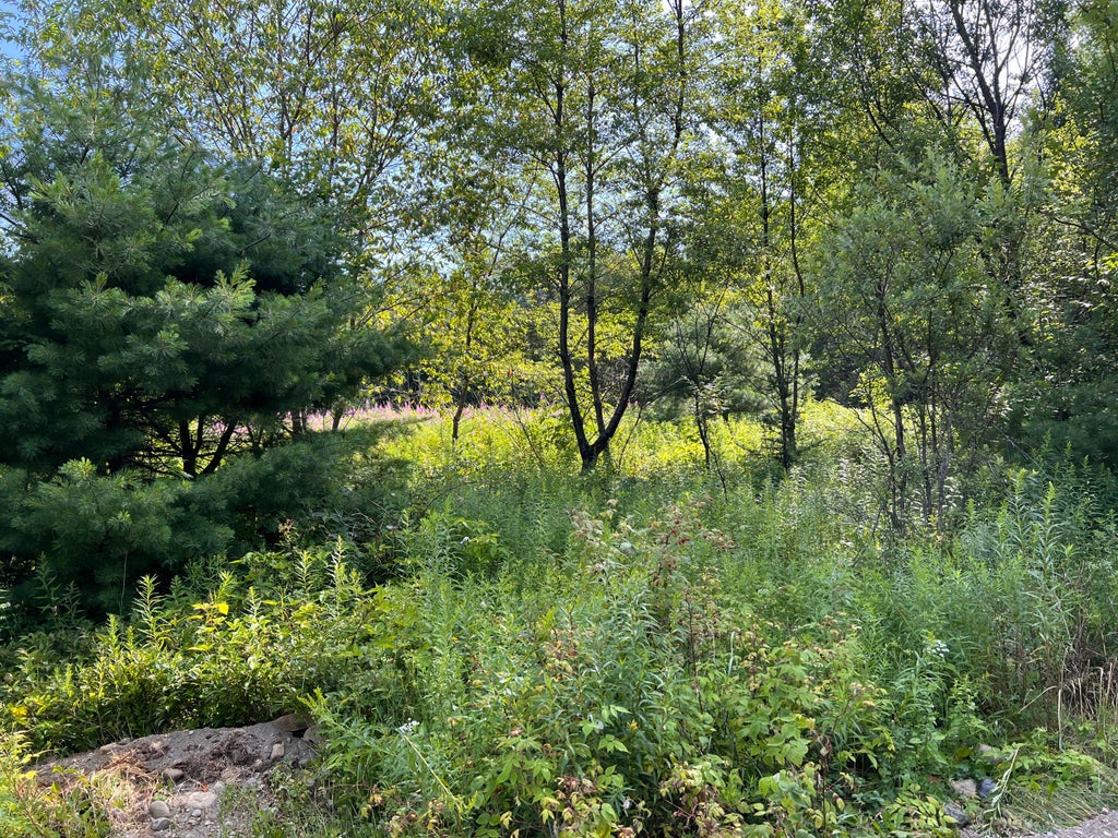 Photo of lot 6 &amp; 8 Franklin Realty Road, Haynesville, ME 04497 (MLS # 1673711)