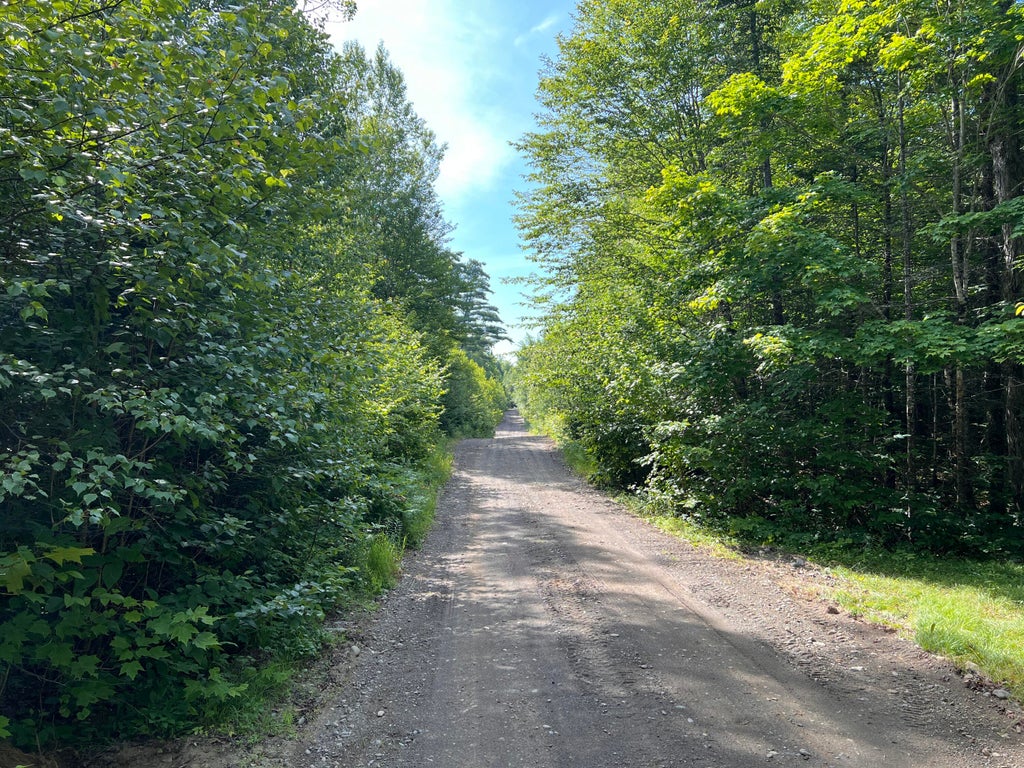Photo of lot 6 &amp; 8 Franklin Realty Road, Haynesville, ME 04497 (MLS # 1673711)
