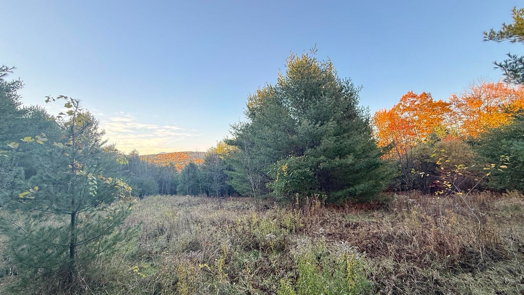 Photo of M32L50A Temple Road, Wilton, ME 04294 (MLS # 1684775)