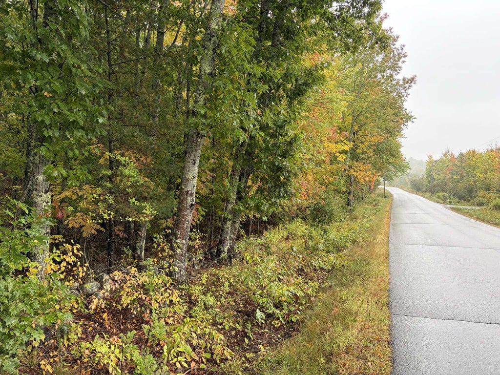 Photo of 459 Alford Lake Road, Hope, ME 04847 (MLS # 1683450)