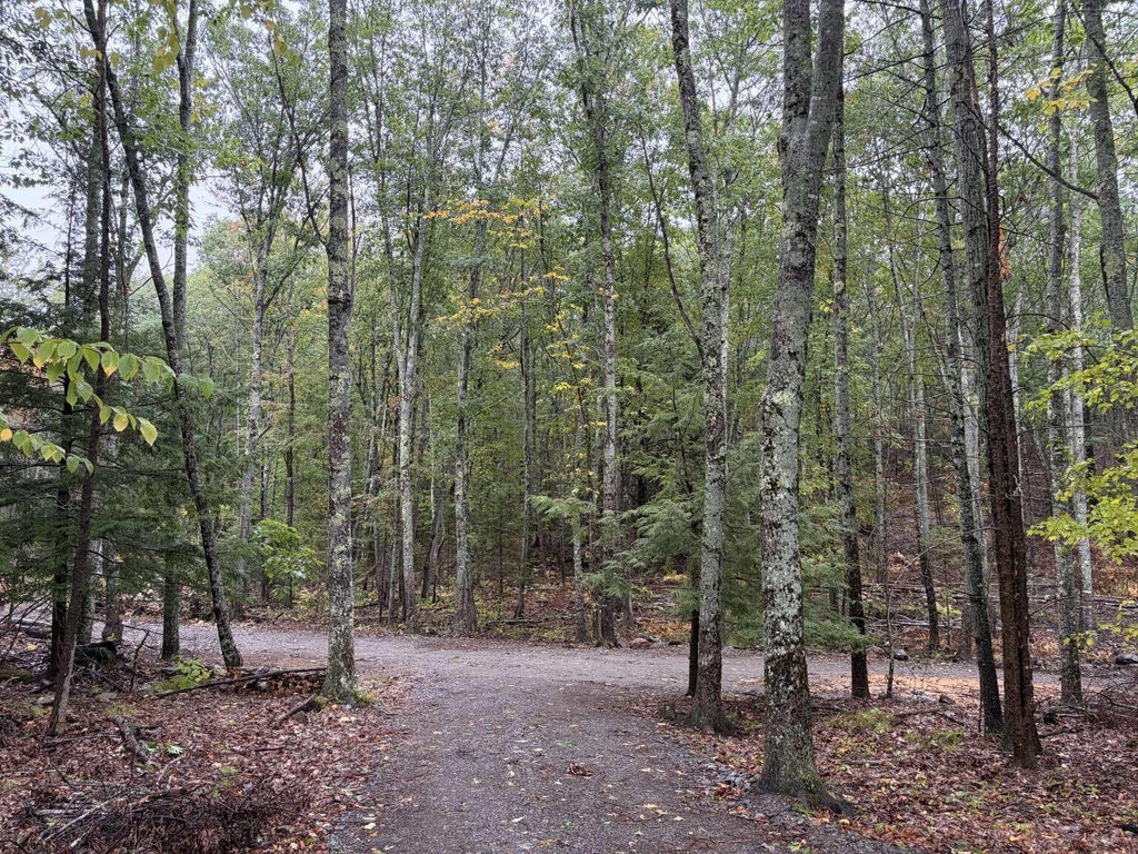 Photo of 459 Alford Lake Road, Hope, ME 04847 (MLS # 1683450)