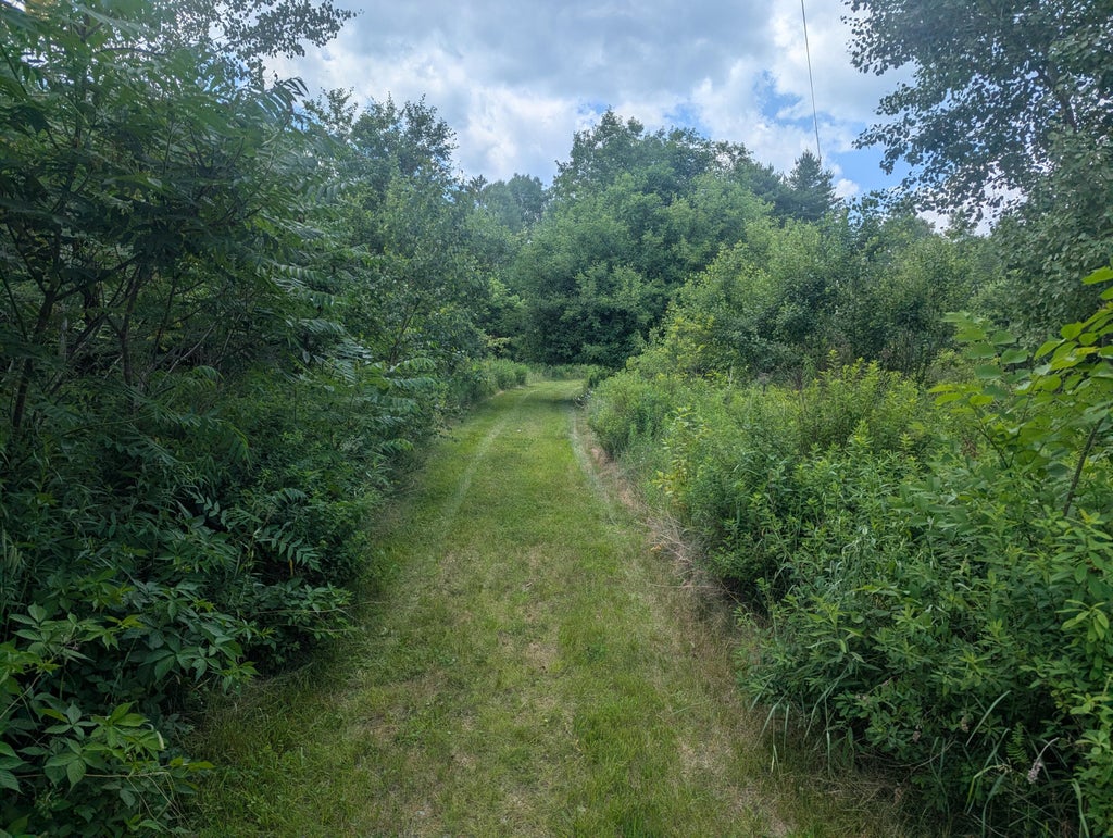 Photo of 619 Stream Road, Winterport, ME 04496 (MLS # 1670622)