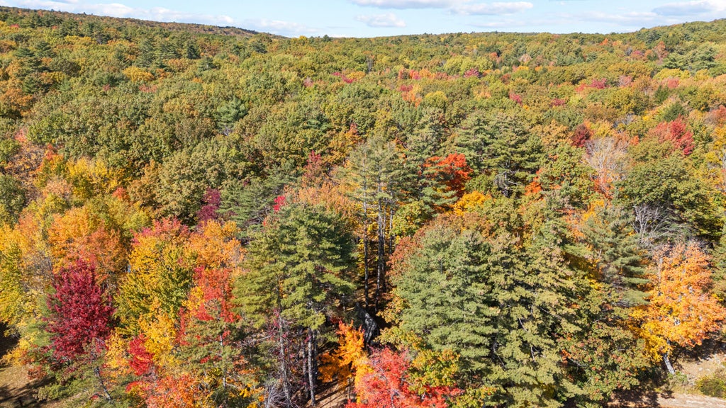 Photo of 38 Spruce Drive, Poland, ME 04274 (MLS # 1684600)