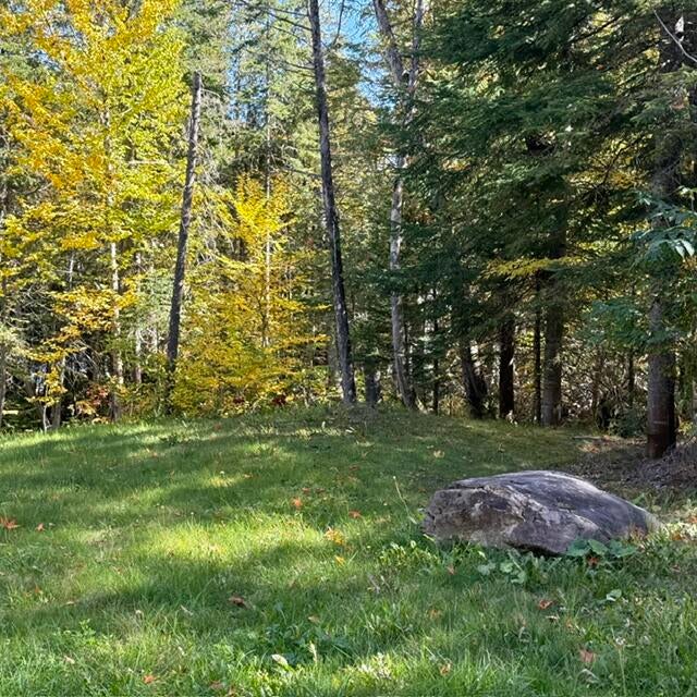 Photo of 269 W W. Van Buren Cove Road, Van Buren, ME 04785 (MLS # 1684028)