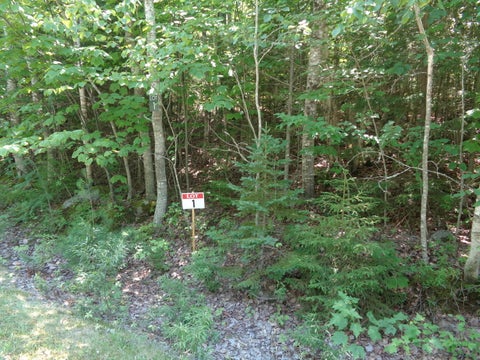 Photo of Lot 1 Bailey Mountain Road, Franklin, ME 04634 (MLS # 1661532)