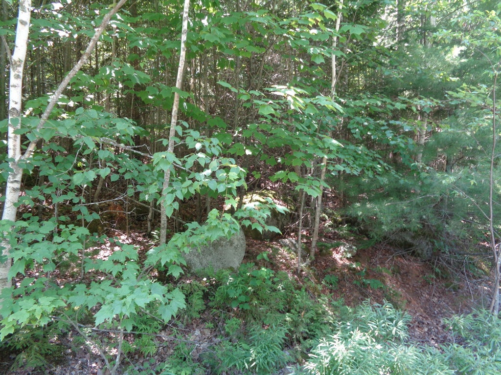 Photo of Lot 1 Bailey Mountain Road, Franklin, ME 04634 (MLS # 1661532)