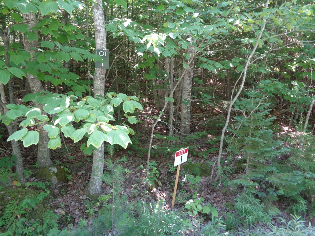 Photo of Lot 1 Bailey Mountain Drive, Franklin, ME 04634 (MLS # 1661532)