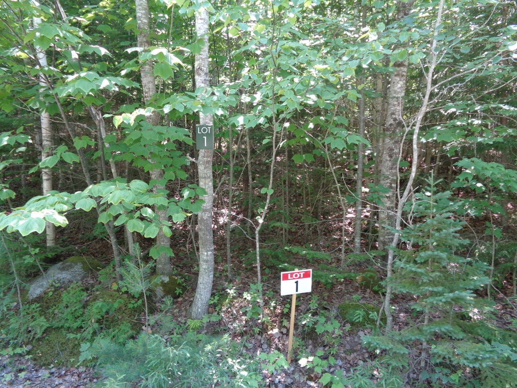 Photo of Lot 1 Bailey Mountain Road, Franklin, ME 04634 (MLS # 1661532)