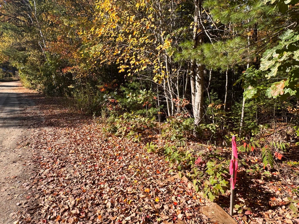 Photo of Lot 1 Shaw Brook Lane, Gray, ME 04039 (MLS # 1683578)