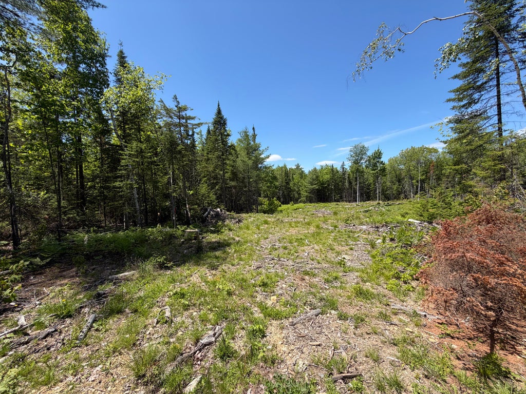 Photo of 0 Merritt Drive, Orono, ME 04473 (MLS # 1665189)