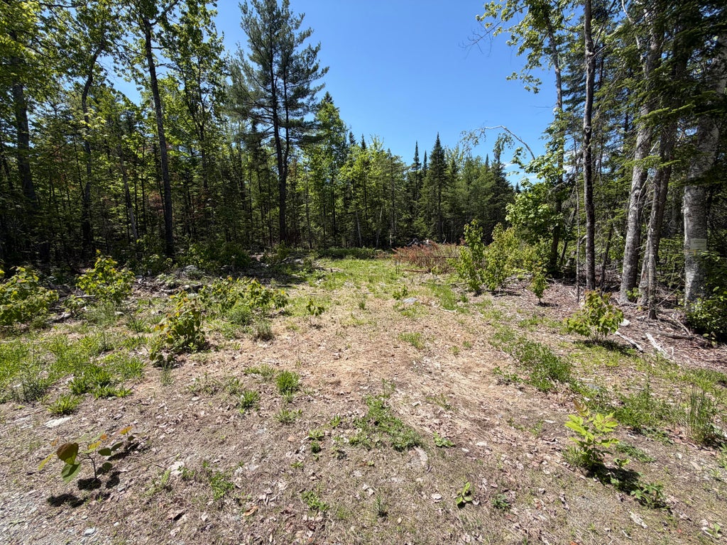 Photo of 0 Merritt Drive, Orono, ME 04473 (MLS # 1665189)