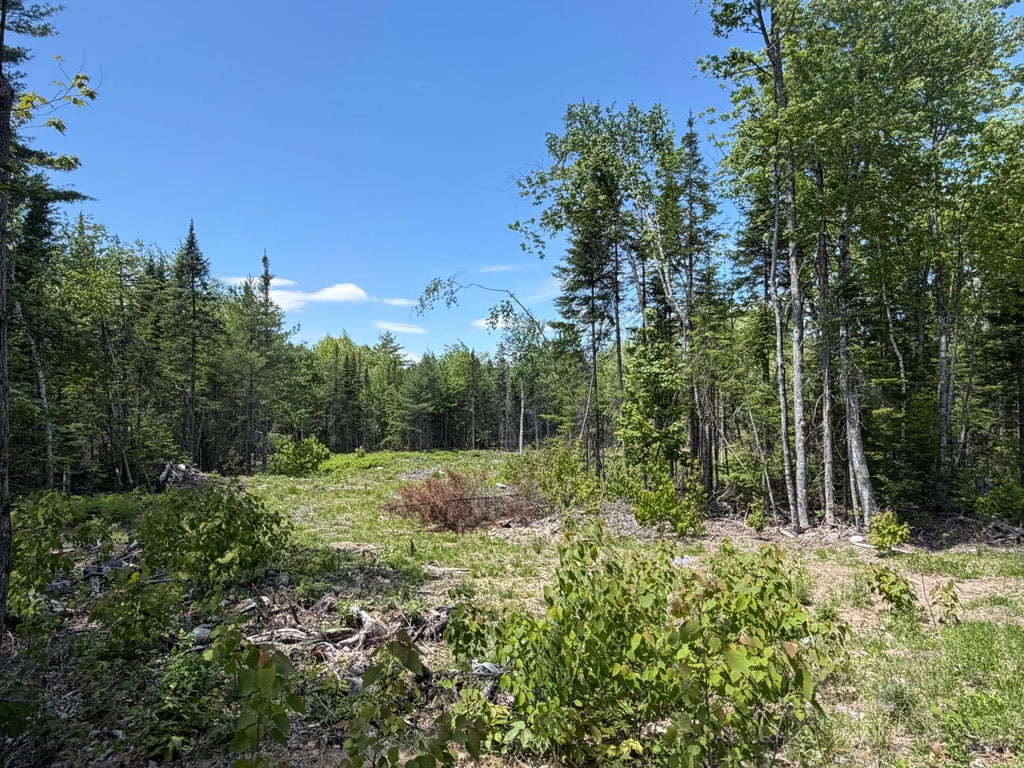 Photo of 0 Merritt Drive, Orono, ME 04473 (MLS # 1665189)