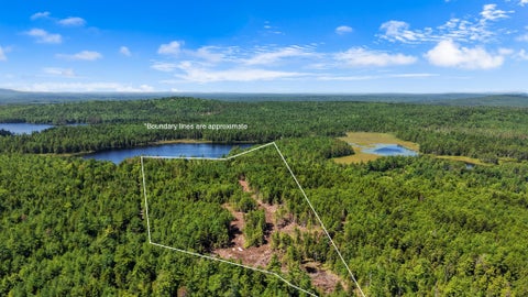 Photo of M9L45 NE NE Bluff Lane, Beddington, ME 04622 (MLS # 1684542)