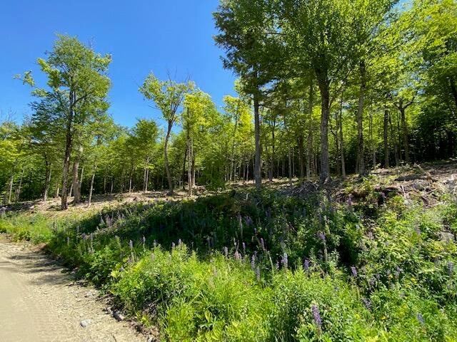 Photo of 48 Bay View Drive, Greenville, ME 04441 (MLS # 1674389)