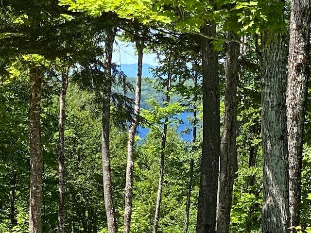 Photo of 48 Bay View Drive, Greenville, ME 04441 (MLS # 1674389)