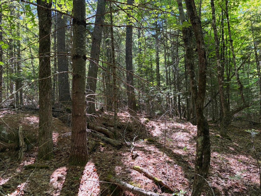 Photo of Lot 4 Holley Road, Farmington, ME 04938 (MLS # 1657921)