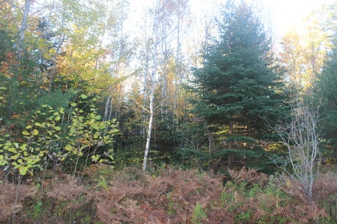 Photo of 177 Gin Cove Road, Perry, ME 04667 (MLS # 1684811)