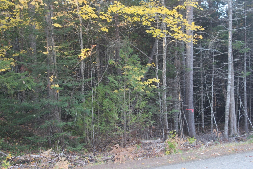 Photo of 177 Gin Cove Road, Perry, ME 04667 (MLS # 1684811)