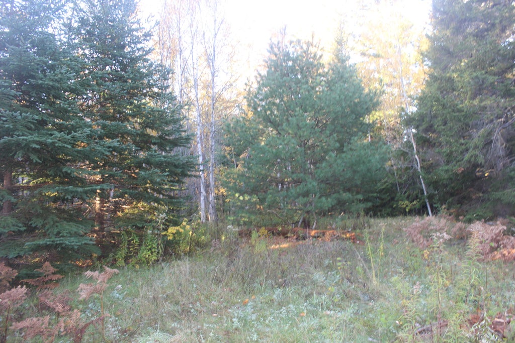 Photo of 177 Gin Cove Road, Perry, ME 04667 (MLS # 1684811)