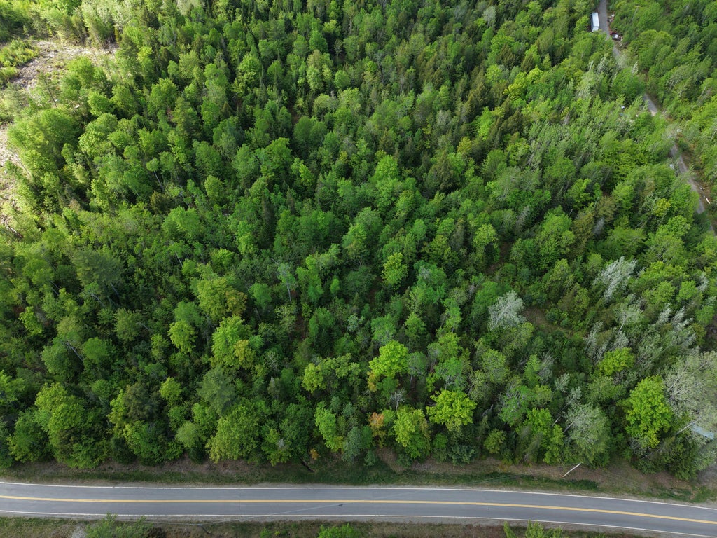 Photo of Map5Lot3-3 Parkman Road, Wellington, ME 04942 (MLS # 1684029)