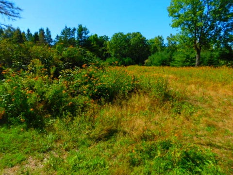 Photo of 291 Copeland Hill Road, Holden, ME 04429 (MLS # 1678308)