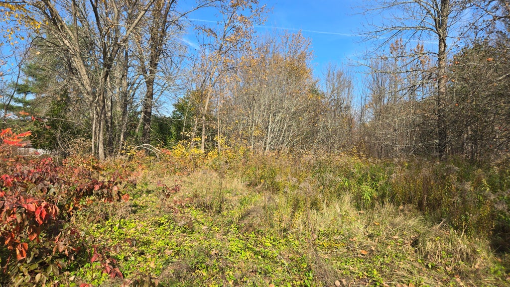 Photo of 65 Center Street, Baring Plt, ME 04694 (MLS # 1671054)