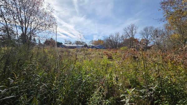 65 CENTER ST, BARING PLT, ME 04694 - Image 7b96411628480dfef67dfdcf631baad2/3439080262