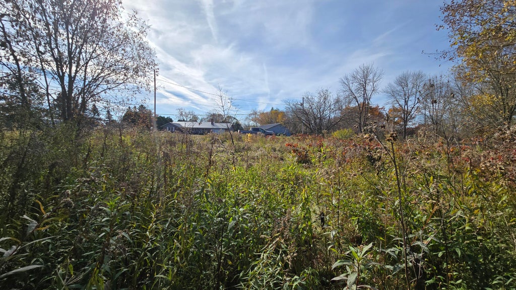 Photo of 65 Center Street, Baring Plt, ME 04694 (MLS # 1671054)